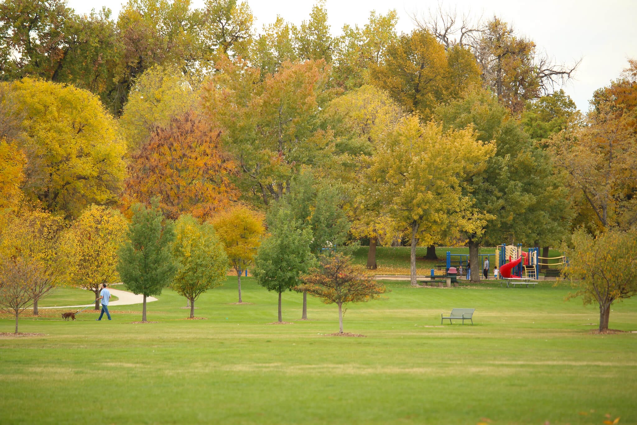 Beautiful Denver park with leaves beginning to change.